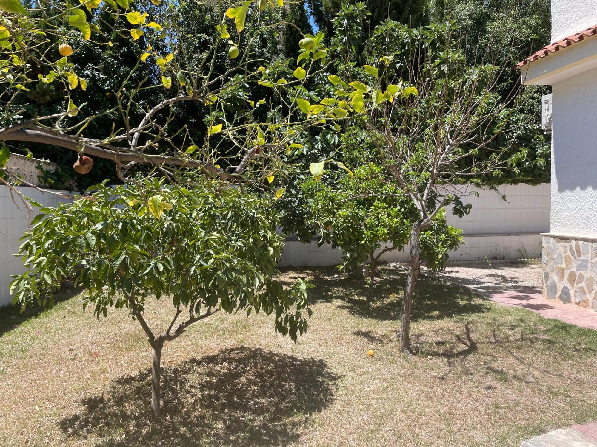 אל קאמפיו Villa Con Piscina A 5 Min A Pie De La Playa Y Pau5 מראה חיצוני תמונה